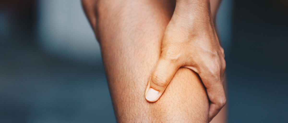 Why muscles are important