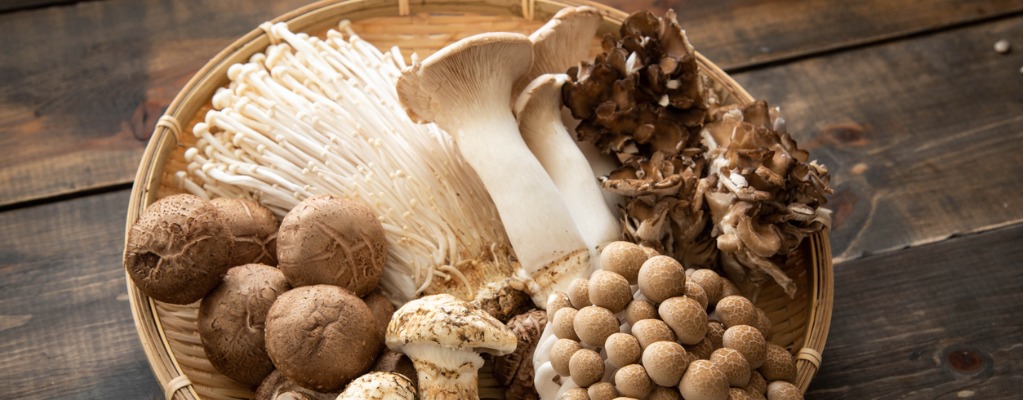 Mushroom natural medicine ingredient
